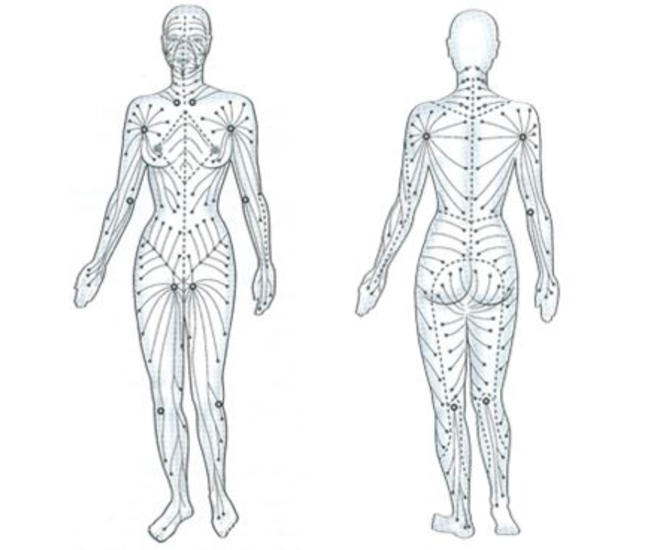 Le drainage lymphatique
